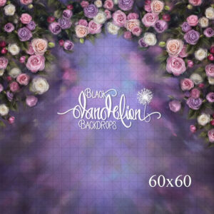 60x60-Juliette-Black Dandelion Backdrops