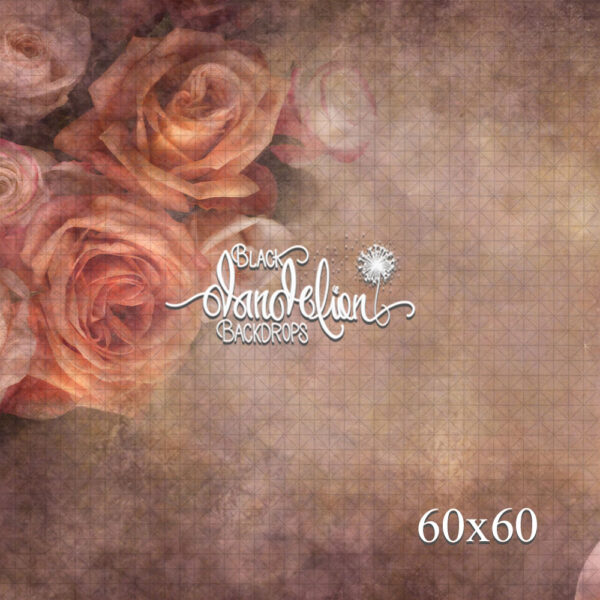 60x60-Mother's Rose-Black Dandelion Backdrops