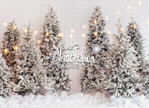6x8-A white Christmas-Black Dandelion Backdrops