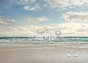 6x8-Florida Beach-Black Dandelion Backdrops