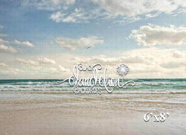 6x8-Florida Beach-Black Dandelion Backdrops