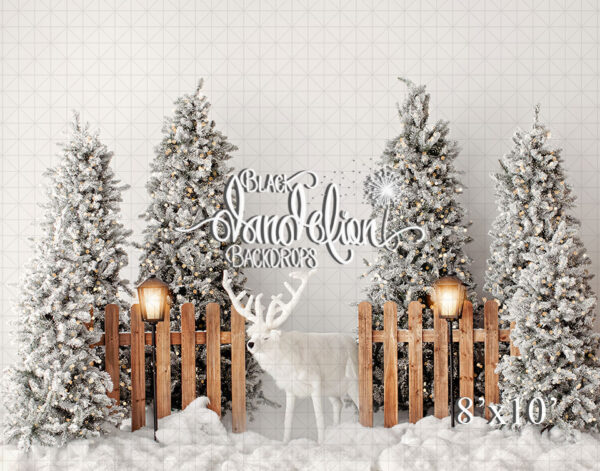8x10-A Fairy Christmas forest-Black Dandelion Backdrops