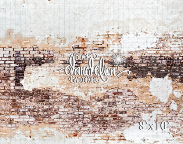 8x10-Airdale Brick-Black Dandelion Backdrops