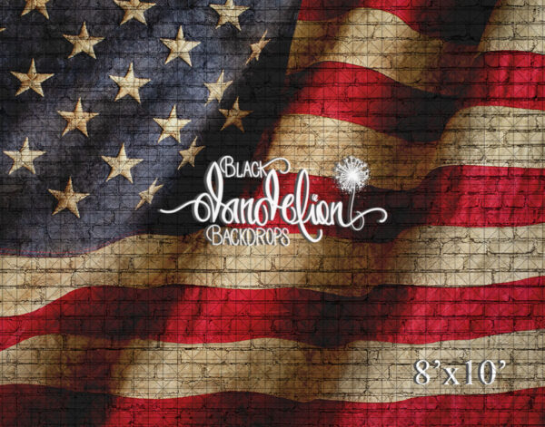 8x10-American Flag on Brick Dark-Black Dandelion Backdrops
