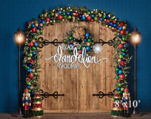 8x10-Christmas Entry on Blue-Black Dandelion Backdrops