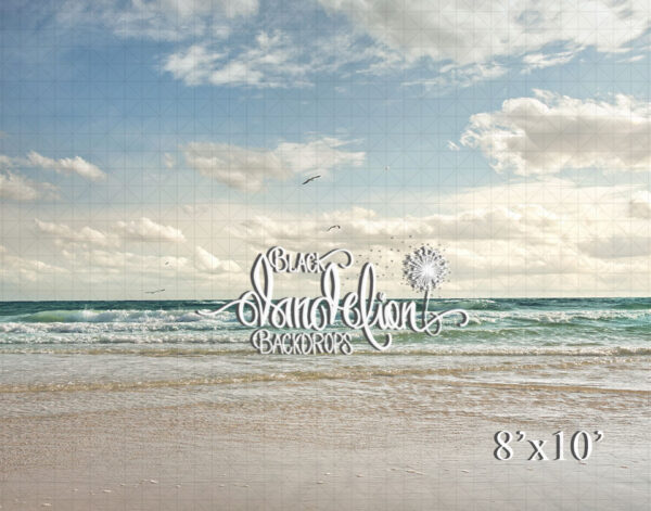 8x10-Florida Beach-Black Dandelion Backdrops