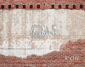 8x10-Holbert Brick-Black Dandelion Backdrops