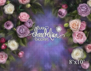 8x10-Juliette Grandi-Black Dandelion Backdrops
