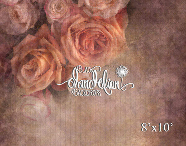 8x10-Mother's Rose-Black Dandelion Backdrops