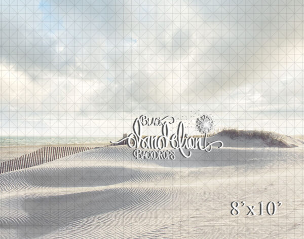 8x10-Navarre Beach-Black Dandelion Backdrops