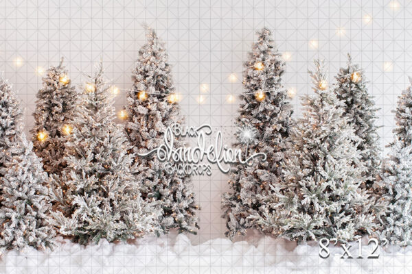 8x12-A white Christmas-Black Dandelion Backdrops