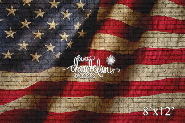 8x12-American Flag on Brick Dark-Black Dandelion Backdrops