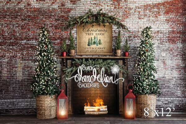 8x12-Cut and Carry Christmas trees-Black Dandelion Backdrops