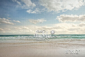 8x12-Florida Beach-Black Dandelion Backdrops