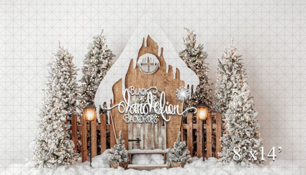 8x14-A Fairy Christmas on White-Black Dandelion Backdrops