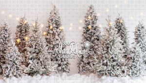 8x14-A white Christmas-Black Dandelion Backdrops