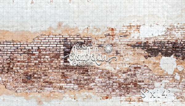 8x14-Airdale Brick-Black Dandelion Backdrops