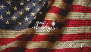 8x14-American Flag on Brick Dark-Black Dandelion Backdrops