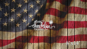 8x14-American Flag on Wood Beach Barn 3-Black Dandelion Backdrops