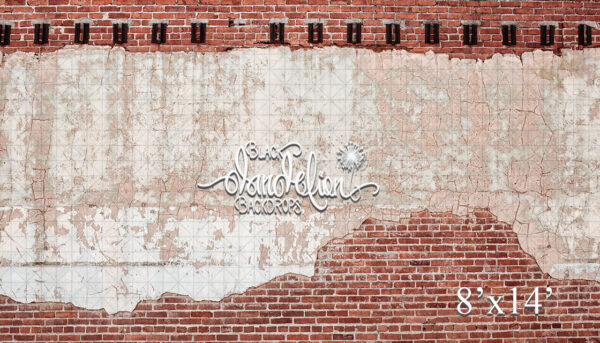 8x14-Holbert Brick-Black Dandelion Backdrops