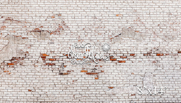 8x14-Holcolm Brick-Black Dandelion Backdrops