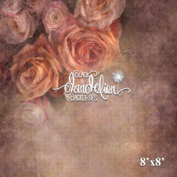 8x8-Mother's Rose-Black Dandelion Backdrops