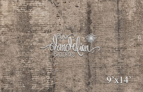 9x14-Aged Brick-Black Dandelion Backdrops