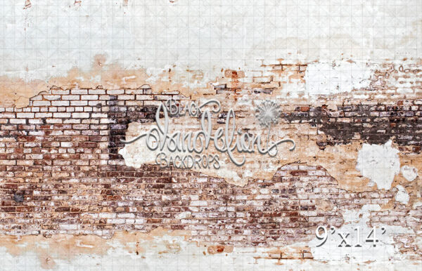 9x14-Airdale Brick-Black Dandelion Backdrops