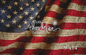 9x14-American Flag on Brick Dark-Black Dandelion Backdrops