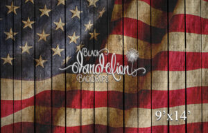 9x14-American Flag on Wood Beach Barn 3-Black Dandelion Backdrops