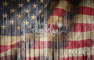 9x14-American Flag on Wood Beach Barn-Black Dandelion Backdrops