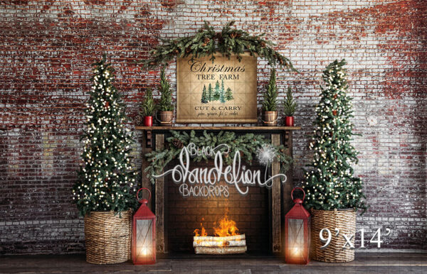 9x14-Cut and Carry Christmas trees-Black Dandelion Backdrops