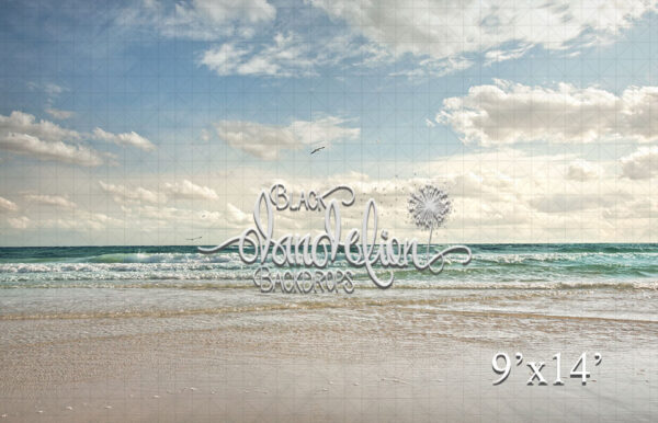 9x14-Florida Beach-Black Dandelion Backdrops