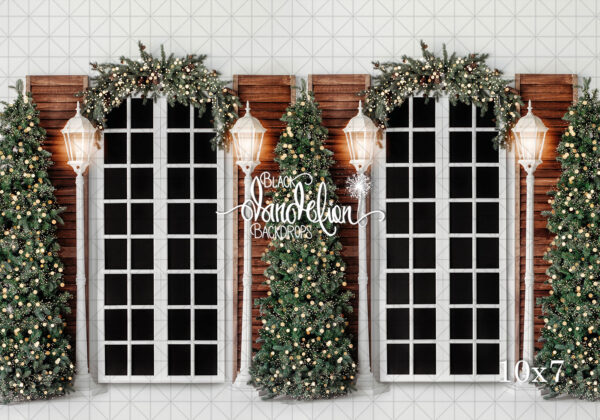 10x7-Christmas Courtyard-Black Dandelion Backdrops