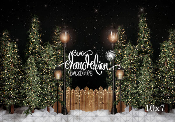 10x7-Garrison Christmas Park no bows-Black Dandelion Backdrops