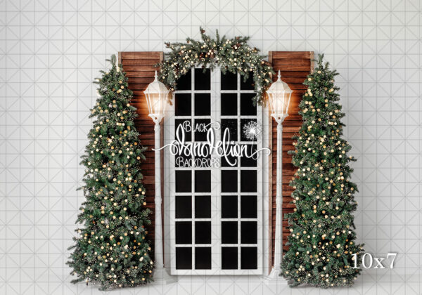 10x7-Single Snowy Christmas Courtyard-Black Dandelion Backdrops