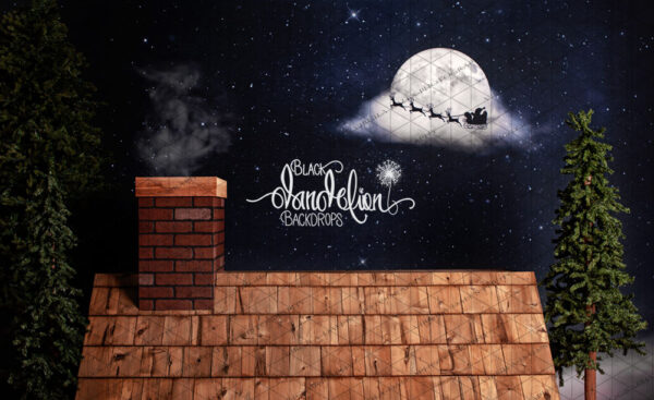 Christmas Rooftop-Black Dandelion Backdrops