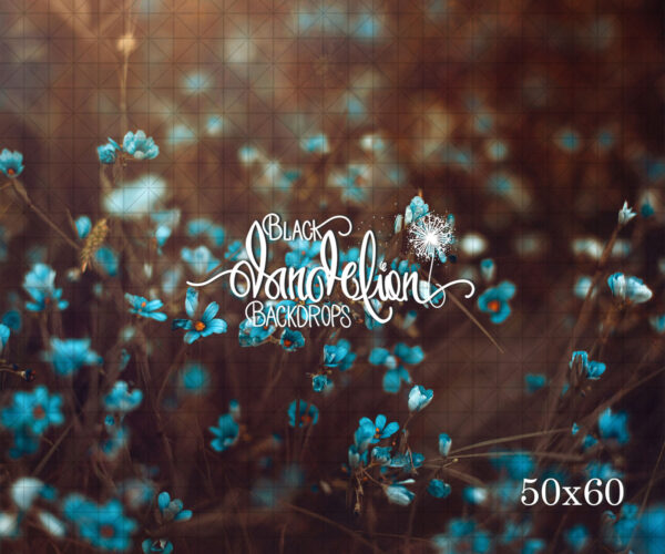 50x60-Blue Jaz-Black Dandelion Backdrops
