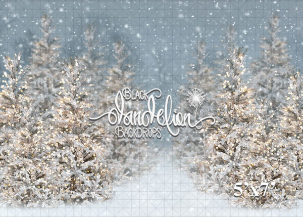 5x7-Cool Winter Christmas-Black Dandelion Backdrops