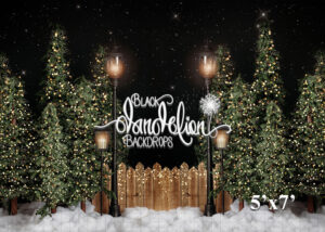 5x7-Garrison Christmas Park no bows-Black Dandelion Backdrops