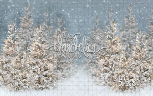 5x8-Cool Winter Christmas-Black Dandelion Backdrops