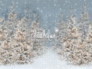 60x80-Cool Winter Christmas-Black Dandelion Backdrops