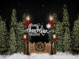 60x80-Garrison Christmas Park-Black Dandelion Backdrops
