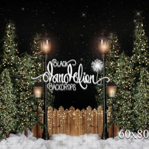 60x80-Garrison Christmas Park no bows-Black Dandelion Backdrops