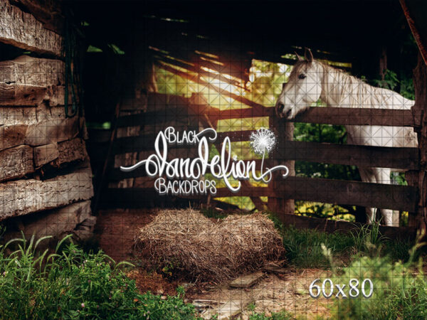 60x80-Mountainburg Barn-Black Dandelion Backdrops