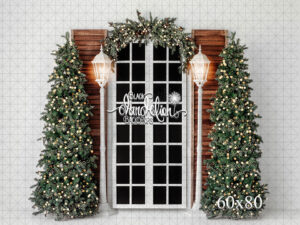 60x80-Single Snowy Christmas Courtyard-Black Dandelion Backdrops
