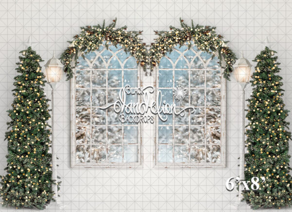 6x8-Arched Christmas-Black Dandelion Backdrops