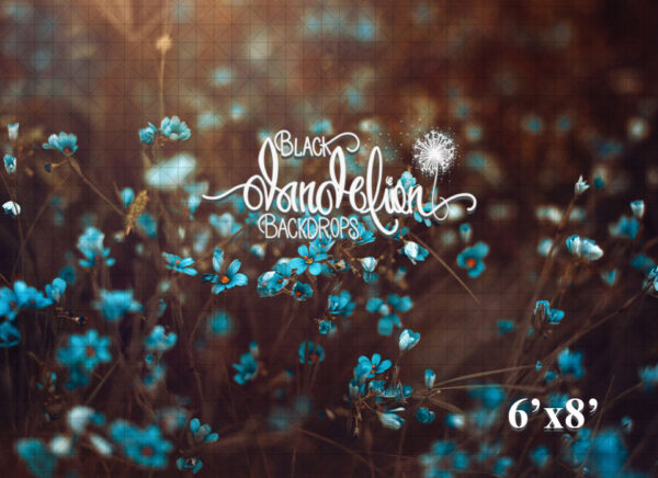 6x8-Blue Jaz-Black Dandelion Backdrops
