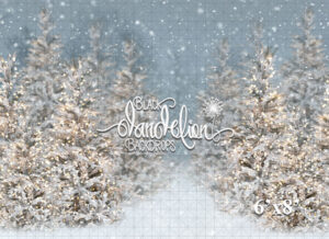 6x8-Cool Winter Christmas-Black Dandelion Backdrops