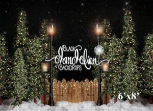 6x8-Garrison Christmas Park no bows-Black Dandelion Backdrops